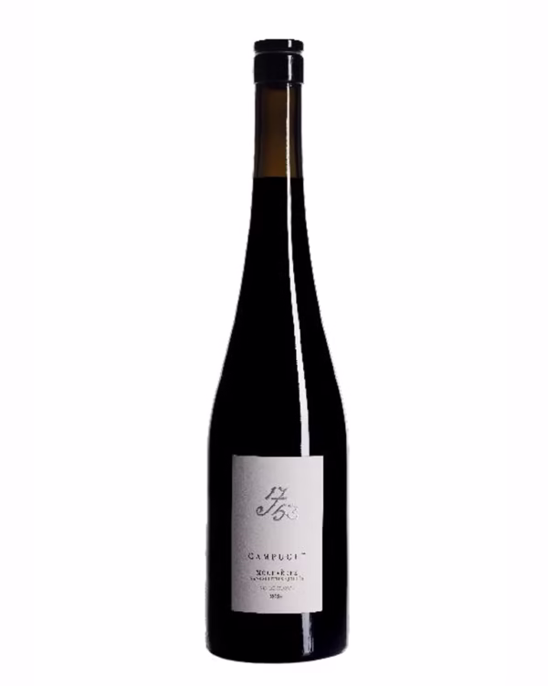 Mourvèdre sans sulfites domaine Campuget Provence Nimes Arles Avignon