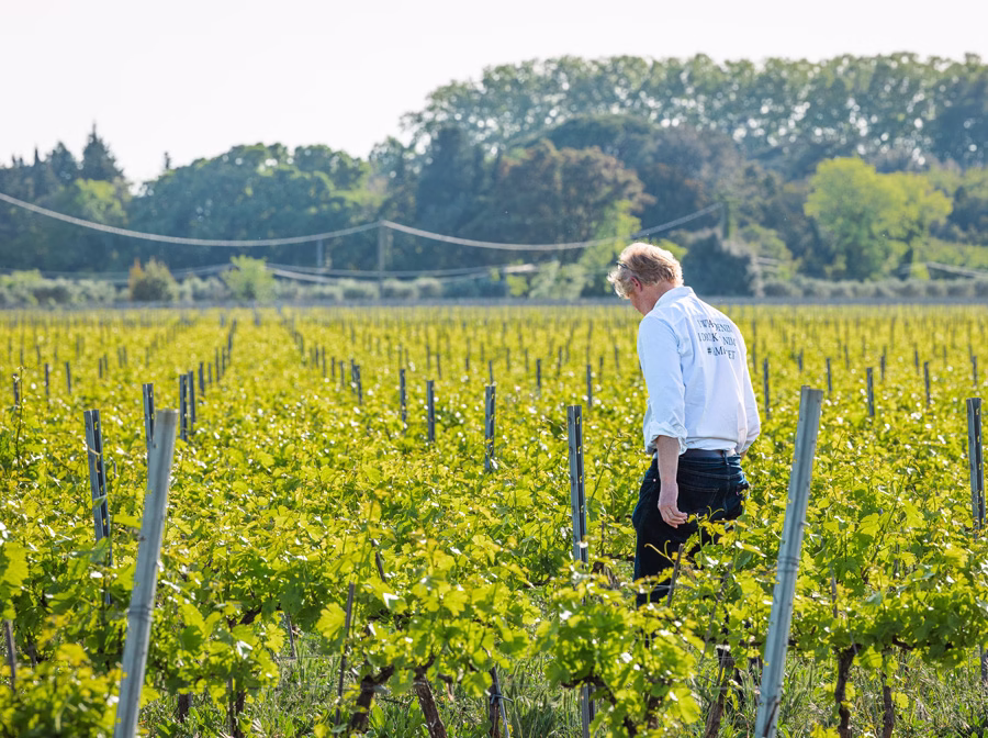 Wine domaine Provence Nîmes Arles Avignon - Accomodation and seminars 16 domaine viticole provence nimes arles avignon francklin dalle smart
