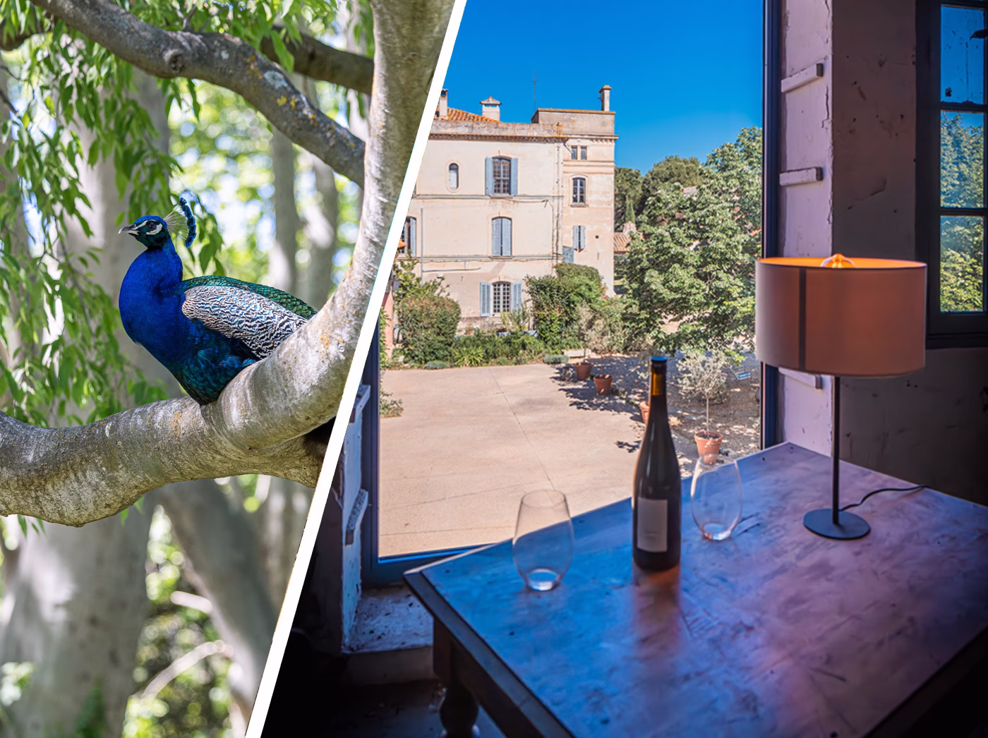 campuget domaine viticole nimes arles avignon voeux 2025 v2