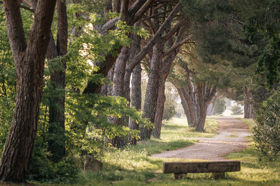 campuget vignoble galerie hebergements nimes 2 - Domaine de Campuget