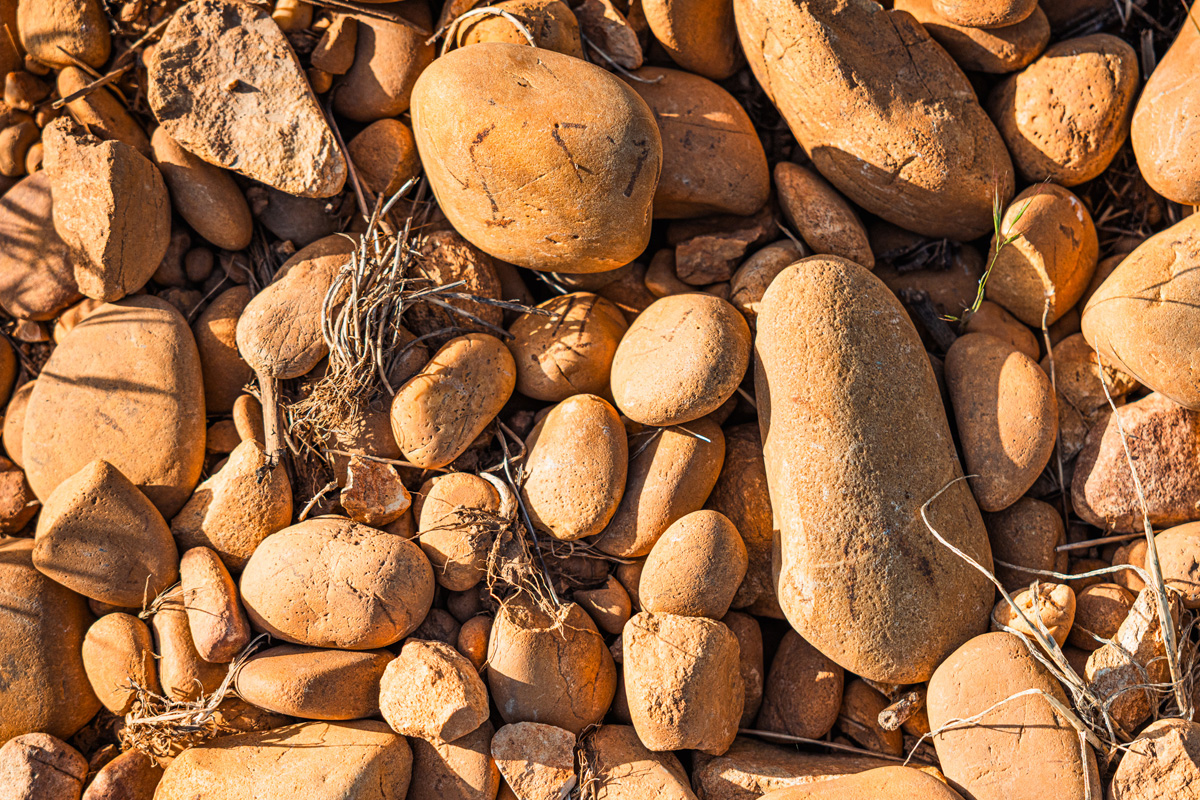 grands vins du rhone campuget 2 - Domaine de Campuget